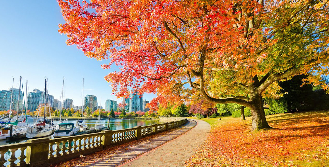 Bờ Tây Canada Vancouver - Đảo Victoria - Làng Du Lịch Whistler - Bán Đảo Granville_7N6D_VT